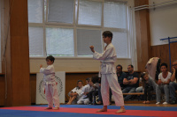 DSC_0993